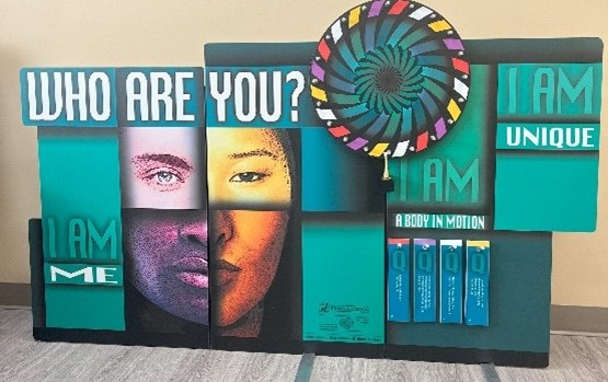 Body Image Display